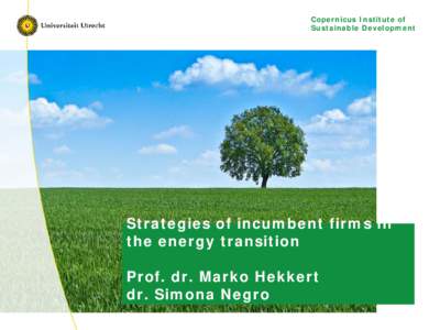 Gevestigde belangen in energie en transport innovaties  Prof. dr. Marko Hekkert