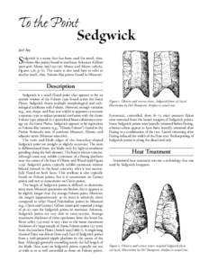 Projectile points / Clovis point / Folsom point / Big Eddy Site / Sedgwick / Paleo-Indians / Folsom / David G. Anderson / Juliet Morrow