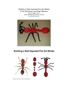 Materials from Hobby Lobby to make 100 fire ant models