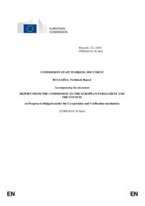 EUROPEAN COMMISSION Brussels, [removed]SWD[removed]final