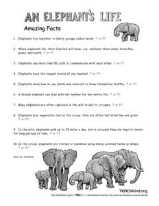 1. Elephants live together in family groups called herds. T or F?  2. When elephants die, their families will moan, cry, and bury them under branches, grass, and earth. T or F?  3. Elephants use more than 50 calls to com