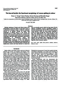 3483  The Journal of Experimental Biology 207, Published by The Company of Biologists 2004 doi:jeb.01170