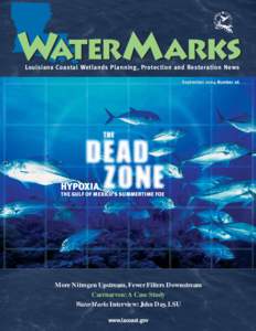 Louisiana Coastal Wetlands Planning, Protection and Restoration News September 2004 Number 26 HYPOXIA THE GULF OF MEXICO’S SUMMERTIME FOE