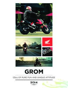 GROM 125cc OF PURE FUN AND UNIQUE ATTITUDE 2014  2014