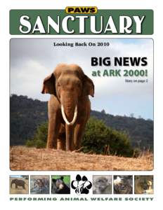 PAWS  Sanctuary Looking Back On[removed]BIG NEWS