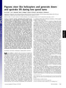 Pigeons steer like helicopters and generate downand upstroke lift during low speed turns Ivo G. Rosa,1, Lori C. Bassmanb, Marc A. Badgerb, Alyssa N. Piersonb, and Andrew A. Biewenera a