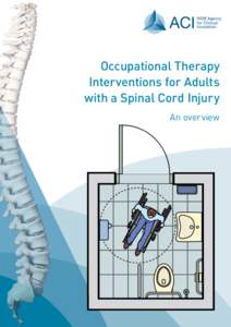 Occupational Therapy Interventions for Adults with a Spinal Cord Injury: An overview