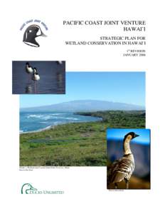 PACIFIC COAST JOINT VENTURE HAWAI`I STRATEGIC PLAN FOR WETLAND CONSERVATION IN HAWAI`I 1st REVISION JANUARY 2006