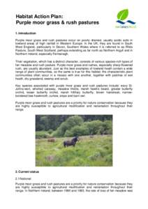 Habitat Action Plan: Purple moor grass & rush pastures 1. Introduction Purple moor grass and rush pastures occur on poorly drained, usually acidic soils in lowland areas of high rainfall in Western Europe. In the UK, the