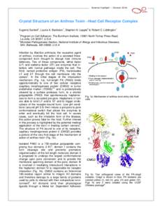 Microsoft Word - anthrax3.doc