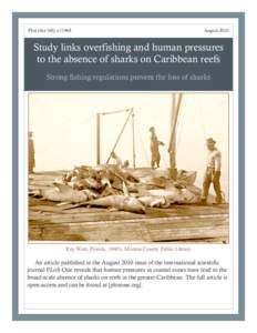 Plos One 5(8): e11968  August 2010 Study links overfishing and human pressures to the absence of sharks on Caribbean reefs