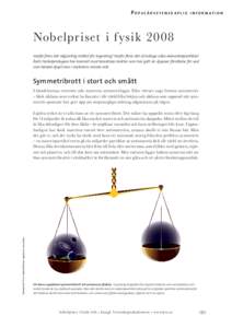 POPULÄRVETENSKAPLIG  I N F O R M AT I O N Nobelpriset i fysik 2008 Varför finns det någonting istället för ingenting? Varför finns det så många olika elementarpartiklar?