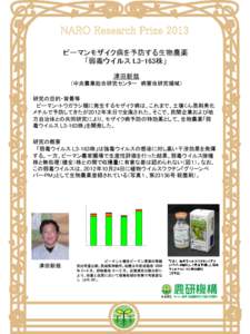 NARO Research Prize 2013 ピーマンモザイク病を予防する生物農薬 「弱毒ウイルス L3-163株」 津田新哉 （中央農業総合研究センター 病害虫研究領域） 研究の目的・背景等