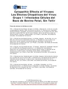 Microsoft Word - cytopathic_effects_of_viruses_spanish.doc