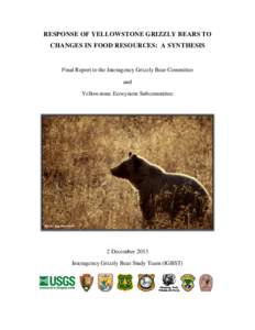 RESPONSE OF YELLOWSTONE GRIZZLY BEARS TO CHANGES IN FOOD RESOURCES: A SYNTHESIS Final Report to the Interagency Grizzly Bear Committee and Yellowstone Ecosystem Subcommittee