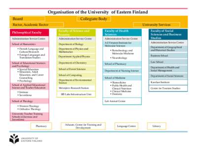 Organisation of the University of Eastern Finland Board Collegiate Body  Rector, Academic Rector