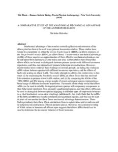 MA Thesis – Human Skeletal Biology Track, Physical Anthropology - New York University[removed]A COMPARATIVE STUDY OF THE ANATOMICAL MECHANICAL ADVANTAGE OF THE ANTHROPOID ELBOW Nicholas Holowka