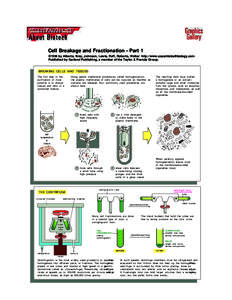 Chemistry / Centrifugation / Ultracentrifuge / Centrifuge / Cell fractionation / Homogenization / Differential centrifugation / Cell membrane / Biological membrane / Laboratory techniques / Biology / Science