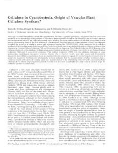 Cellulose in Cyanobacteria. Origin of Vascular Plant Cellulose Synthase? David R. Nobles, Dwight K. Romanovicz, and R. Malcolm Brown, Jr.* Section of Molecular Genetics and Microbiology, The University of Texas, Austin, 