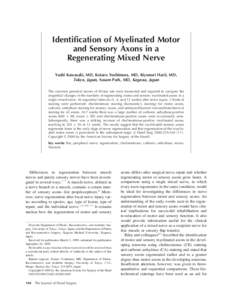 Identification of Myelinated Motor and Sensory Axons in a Regenerating Mixed Nerve Yushi Kawasaki, MD, Kotaro Yoshimura, MD, Kiyonori Harii, MD, Tokyo, Japan, Susam Park, MD, Kagawa, Japan The common peroneal nerves of W