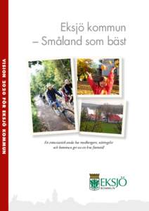 Eksjö kommun – Småland som bäst Vision 2020 för Eksjö kommun En entusiastisk anda hos medborgare, näringsliv och kommun ger oss en bra framtid!
