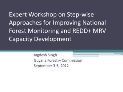 Expert Workshop on Step-wise Approaches for Improving National Forest Monitoring and REDD+ MRV Capacity Development Jagdesh Singh Guyana Forestry Commission