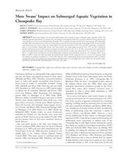 Research Article  Mute Swans’ Impact on Submerged Aquatic Vegetation in Chesapeake Bay KETAN S. TATU, Division of Forestry and Natural Resources, West Virginia University, P.O. Box 6125, Morgantown, WV 26506, USA JAMES