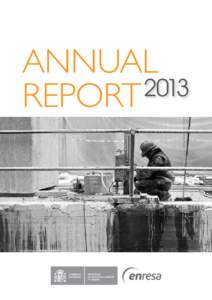 ANNUAL 2013 REPORT CHAIRMAN‘S ADDRESS