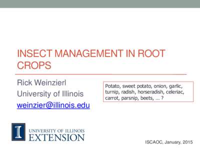 INSECT MANAGEMENT IN ROOT CROPS Rick Weinzierl University of Illinois 
