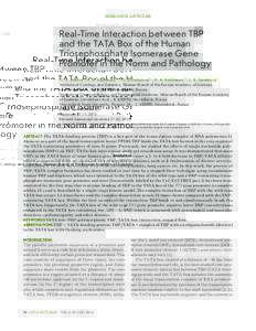 RESEARCH ARTICLES  Real-Time Interaction between ТВР and the TATA Box of the Human Triosephosphate Isomerase Gene Promoter in the Norm and Pathology