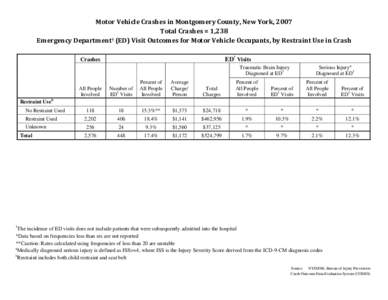 Motor Vehicle Traffic Injuries - Montgomery County, New York