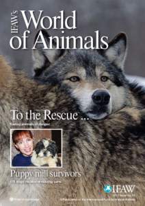 IFAW’s  World of Animals To the Rescue ...