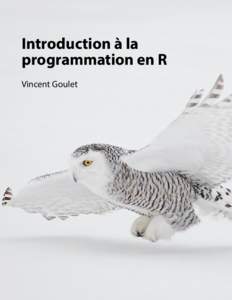 Introduction à la programmation en R Vincent Goulet Introduction à la programmation en R