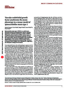 B r i e f c o m m u n i c at i o n s  Vascular endothelial growth factor ameliorates the ataxic phenotype in a mouse model of spinocerebellar ataxia type 1