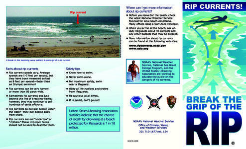 Where can I get more information about rip currents? Chris Brewster, United States Lifesaving Association  ◆	Before you leave for the beach, check