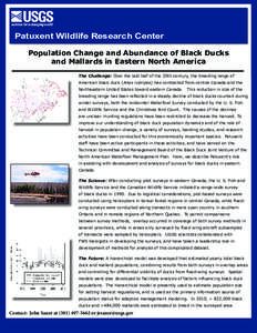 Patuxent Wildlife Research Center Population Change and Abundance of Black Ducks and Mallards in Eastern North America The Challenge: Over the last half of the 20th century, the breeding range of American black duck (Ana