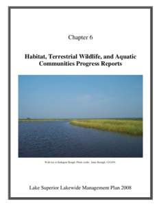 Geography of Canada / Eastern Canada / Great Lakes / Brook trout / Lake Superior / Whittlesey Creek National Wildlife Refuge / Cedar River / Geography of Ontario / Geography of the United States / Canada–United States border