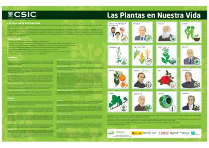 Las Plantas en Nuestra Vida LAS PLANTAS EN NUESTRA VIDA La celebración del Fascination of Plants Day el día 18 de mayo de 2012 es una iniciativa promovida por la EPSO (European Plant Science Organization) a la que se h