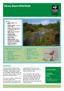 Bovey Basin Wild Walk  Details • • •