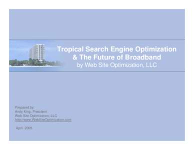 Tropical Search Engine Optimization & The Future of Broadband by Web Site Optimization, LLC Prepared by: Andy King, President
