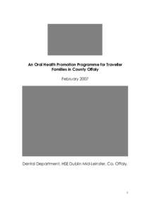 Microsoft Word - Traveller Oral Health Evaluation Report 2007 _FINAL_1.doc