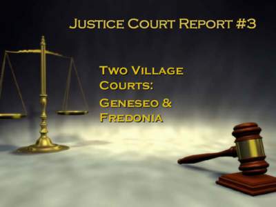 Justice Court Report #3 Two Village Courts: Geneseo & Fredonia