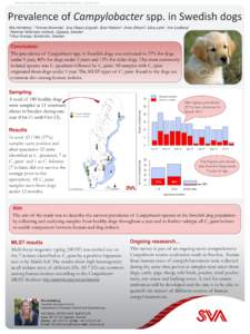 Nordic One Health Conference, Friiberghs Herrgård Örsundsbro, 19-20 Mar[removed]Prevalence of Campylobacter spp. in Swedish dogs Conclusion The prevalence of Campylobacter spp. in Swedish dogs was estimated to 37% for d