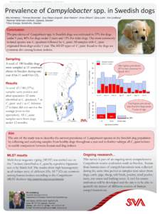 Campylobacter jejuni / Campylobacteriosis / Campylobacter / Multilocus sequence typing / Zoonosis / Dog / Campylobacter upsaliensis / Proteobacteria / Microbiology / Biology