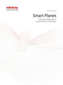 0414 Smart Planes white paper