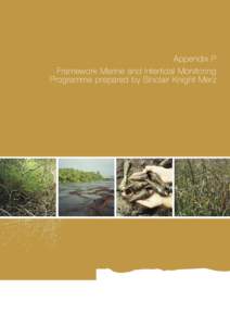 Appendix P Framework Marine and Intertidal Monitoring Programme prepared by Sinclair Knight Merz Appendix I Environmental Impact Statement for the Proposed