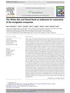 The White Ibis and Wood Stork as indicators for restoration of the everglades ecosystem