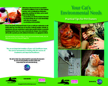 Addressing environmental needs is essential for the optimum wellbeing of your cat. Most behavior concerns, such as inappropriate elimination, aggression, scratching, and others, can be caused by one of the following: •
