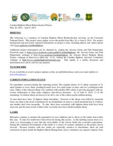 Catalina Bighorn Sheep Reintroduction Project May 26, 2014 – June 8, 2014 BRIEFING The following is a summary of Catalina Bighorn Sheep Reintroduction activities on the Coronado National Forest. This project status upd