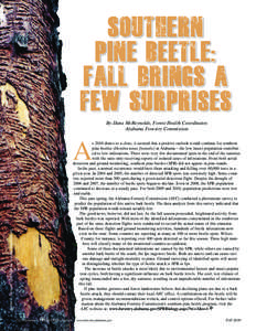 Protostome / Mountain pine beetle / Zoology / Bark beetle / Dendroctonus / Beetle / Curculionidae / Woodboring beetles / Phyla